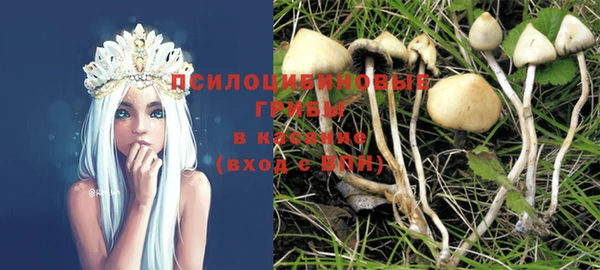 гидра Алзамай