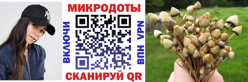Псилоцибиновые грибы Magic Shrooms  Лукоянов 